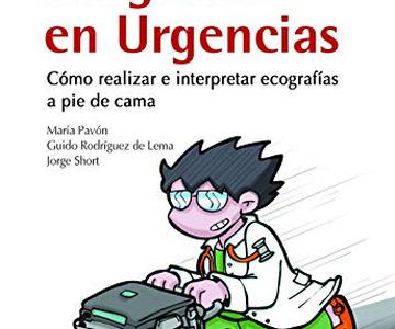 ecografia pubis