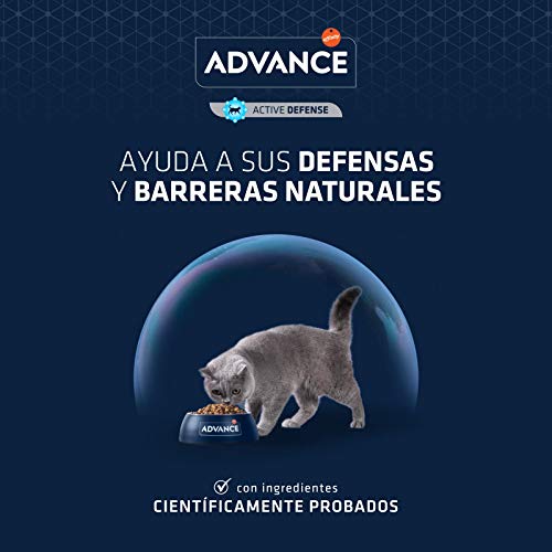 ADVANCE Kitten - Pienso para Gatitos - 10 Kg