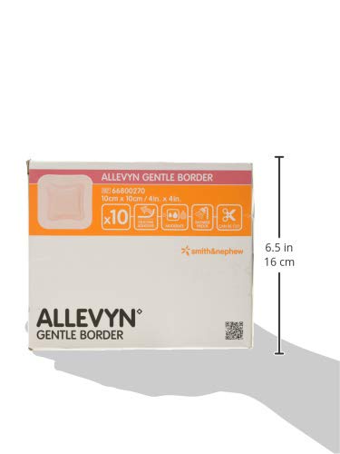 ALLEVYN Gentle Border - Apósitos acolchados (10 cm x 10 cm, 10 unidades)