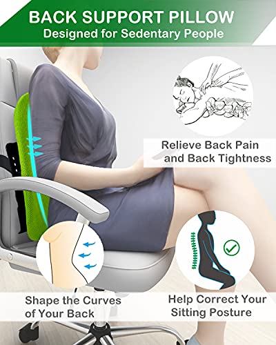 Almohada Lumbar, WEEKSUN Cojin Lumbar Ergonomique con 5 Posiciones Ajustables para Alivio del Dolor de Espalda y corrección de la Postura para Silla de Oficina, Asiento de Auto, Ruedas