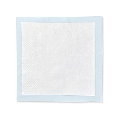 Amazon Basics - Toallitas de entrenamiento para mascotas (tamaño regular, 150 unidades)