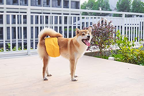 BePetMia Pañales Lavables para Perros machos, Ropa Interior higiénica para Cachorros, Perros en celo e incontinencia, 5 Tallas para Perros pequeños, medianos y Grandes (XS: 22-32cm, Set-2)