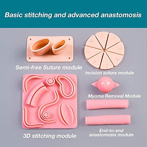 BILXXY Caja de Entrenamiento laparoscópico, Kit de práctica de sutura simulador toracoscópico para Medicina 4 Instrumentos quirúrgicos y 9 módulos de Entrenamiento y cámara de endoscopio HD