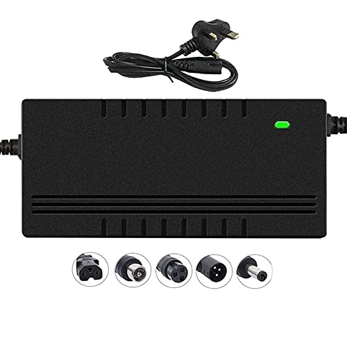 BOYUYO Electric Scooter Charger, 42V/46.2V 5A Output Voltage 36V Lithium Battery Charger For Electric Bicycle Battery Charger, Fast Charging (Color : 46.2V, Size : C)