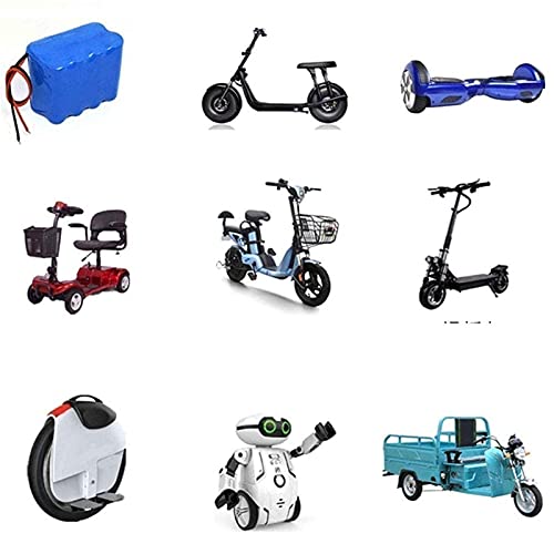 BOYUYO Electric Scooter Charger, 42V/46.2V 5A Output Voltage 36V Lithium Battery Charger For Electric Bicycle Battery Charger, Fast Charging (Color : 46.2V, Size : C)