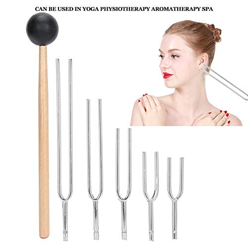 Brrnoo Juego de diapasón, 5PCS 128HZ + 256HZ + 512HZ + 1024HZ + 2048HZ Horquilla afinación médica Prueba audición Aleación de Aluminio Tenedor de energía de afinación con Golpe Martillo