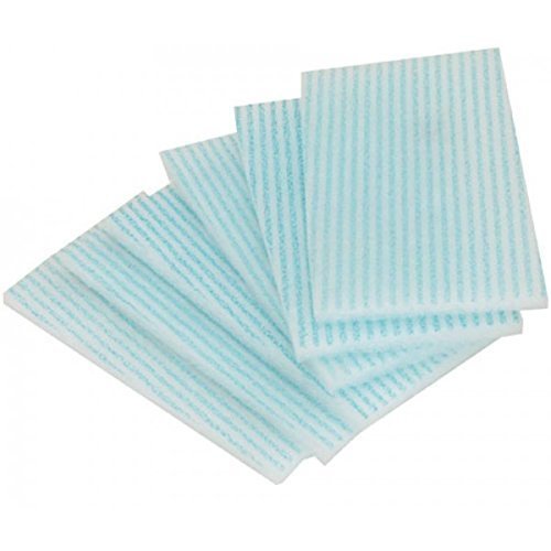 Cleanet: 240 esponjas jabonosas desechable napa 12x20cm 90grs. 10 paquetes x 24 unidades - Gestión Amazon