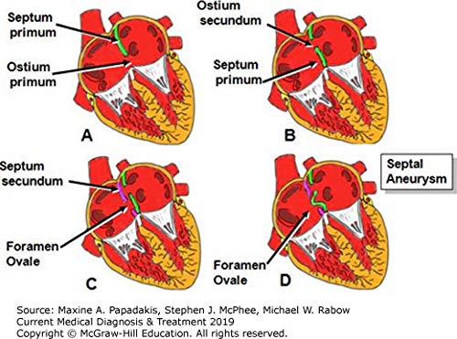 Current medical diagnosis and treatment. Con espansione online (Scienze)