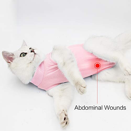 Dotoner Gatos Traje de recuperación Profesional para heridas Abdominales o Enfermedades de la Piel Alternativo para Gatos y Perros después de la cirugía Ropa para el hogar(Rosa,m)