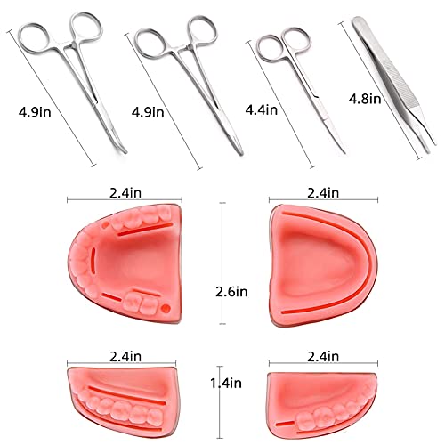 Enseñanza Splies Kit de práctica de sutura dental Suture Dental Oral Kit de entrenamiento quirúrgico Modelo oral para estudiantes dentales Entrenamiento oral Suture Simulación de ayudas de enseñanza