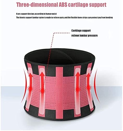 FETTR Correas de Soporte de Espalda Ajustables para Hombres y Mujeres, Alivio para el Dolor de Espalda, Hernia de Disco, ciática, escoliosis y más - Malla Transpirable (tamaño: XL/X-Large)