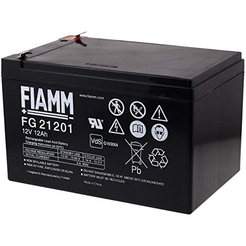 FIAMM Recambio de Batería para Sillas de Ruedas Scooter eléctrico Vehículos eléctricos 12V 12Ah