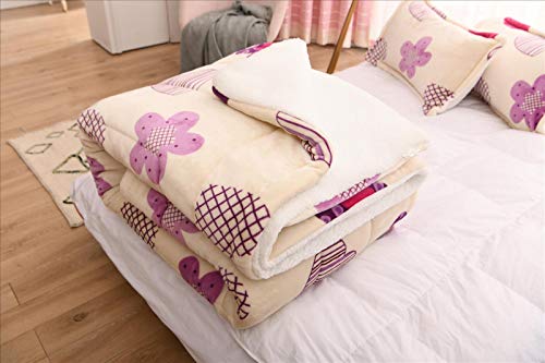 Foren Tex Manta para sofá y Cama con Borrego (S-3090) 600GMS Sin Pelusas No Suelta Pelo Tacto Suave y Cálida Dispone Varios Tamaños y Colores