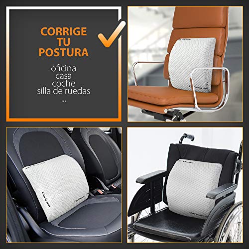 Gridinlux | Cojín Lumbar Carbono Ergonómico| Almohada de Soporte Lumbar Viscoelástico Memoria | Cojín Respaldo para Sillas, Sofás, Coche | Apoyo Espalda | Evita Dolor de Espalda | Fabricado en España