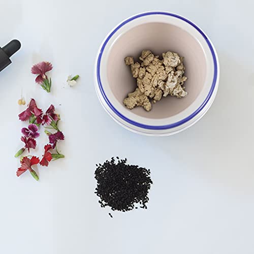 HEMOTON Triturador de Cerámica de Ajo Mortero de Cerámica Triturador Manual de Ajo Pimienta Ajo Hierba Especias Molinillo para Cocina Casera