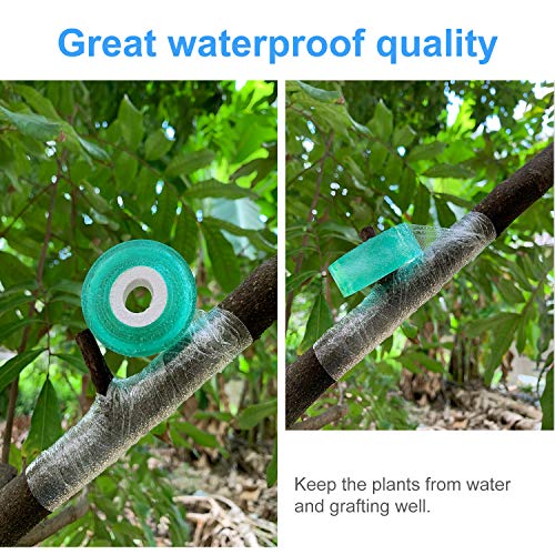 Herefun Cinta de Injerto, 2 Piezas 100M Cinta Injerto Biodegradable Autoadhesivo Vivero Jardín Estirable Flor Vegetal injerto Cintas Fruta Injerto Films (Verde)