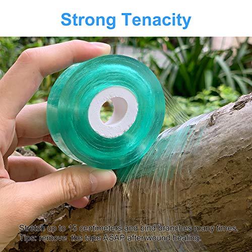 Herefun Cinta de Injerto, 2 Piezas 100M Cinta Injerto Biodegradable Autoadhesivo Vivero Jardín Estirable Flor Vegetal injerto Cintas Fruta Injerto Films (Verde)