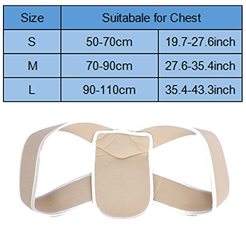 JIUYUE Corset Ajustable Parte Posterior Superior Soporte para el Hombro Postura Corrector Adultos Niños Corsé Espina Brace Cinturón Posterior Ortesis Apoyo Posterior (Color : Skin Color, Size : S)
