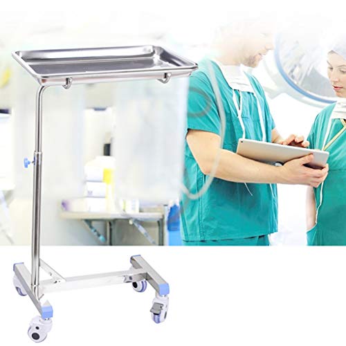lcc Carro de Carro médico Desmontable con Bandeja Ensamble el Carro quirúrgico, carros de Tratamiento de salón de Belleza de Dos Niveles de Acero Inoxidable, Cambiador de Vendaje quirúrgico Vehículos