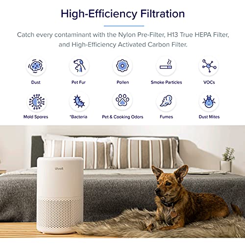 LEVOIT Purificador de Aire Inteligente con Filtro HEPA H13, CADR 170m³/h a 35m², Control por Alexa, Silencio Modo Sueño <24dB, Elimina 99,97% de Alergia Tabaco Polen Ácaros Olor y Caspa de Mascota