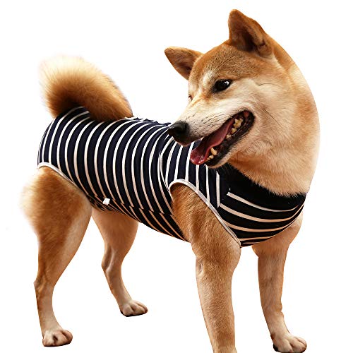 LIANZIMAU Traje Recuperacion Perro Body Quirurgico Cono E Collar Alternativo Abdominal Heridas y Protector Después de la Cirugía Desgaste Body Postoperatorio Perro Ropa para
