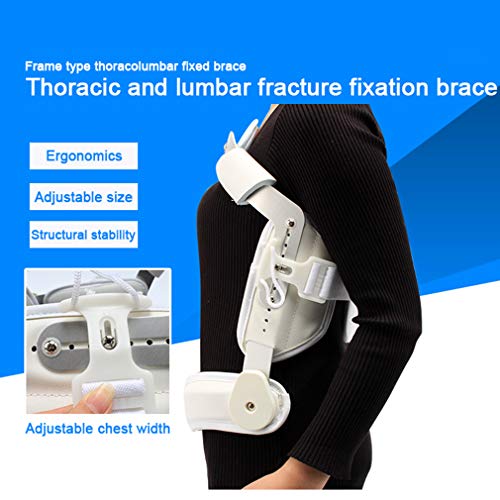 NYPB Órtesis de Columna Lumbar, Ajustable Órtesis Torácica por compresión Lumbar de Columna Vertebral, Apoyo de Espalda Baja Las Fracturas de Compresión y la Osteoporosis,Gris,L
