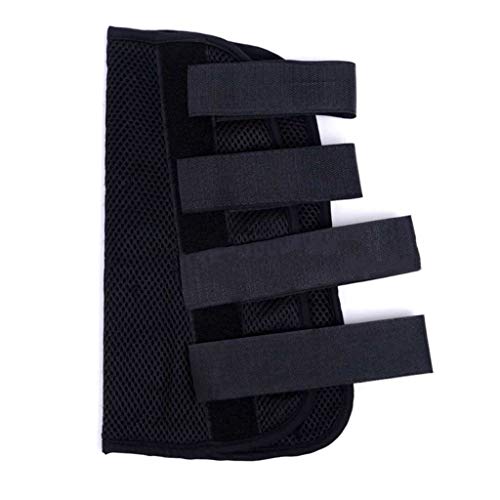 Ortesis Codo, Tela Compuesta Soporte Recto De ArticulacióN De Codo Miembro Superior/Fractura De Brazo Fija Adecuado para RehabilitacióN Postoperatoria De Codo,L