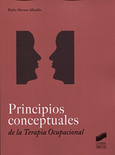 Principios conceptuales en Terapia Ocupacional: 12