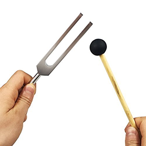 ROSENICE Diapasón 512 Martillo de silicona y bolsa de transporte para la prueba de audio sensorial del nervio (como se muestra)