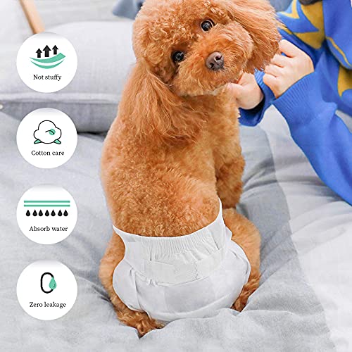 SMELL & SMILE Pañales Desechables para Perro Pañales para Perros Hembra Pañal Sanitarios para Perro Mascotas Bragas Higiénicas Suaves absorbentes (S)