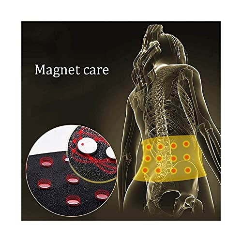 Soporte para la espalda baja, cinturón corrector de postura, terapia magnética, cinturón de soporte de calentamiento automático para hombres, mujeres, hernia discal, alivio del dolor, ajuste dobl