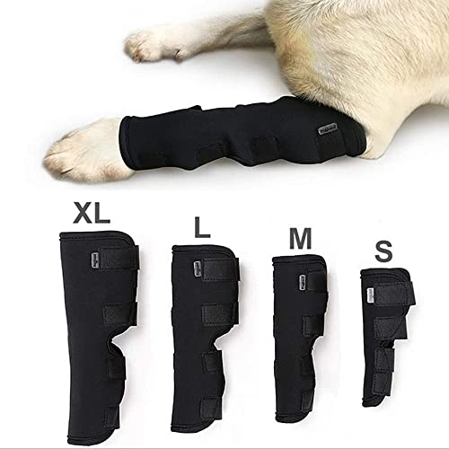 tjz 2 Pac Dog Rodilleras Protector Canino para Perros Envoltura para Articulaciones del CorvejóN De La Pierna Trasera Protege Las Mangas De CompresióN para La Pierna Trasera Rota (Size:Large)