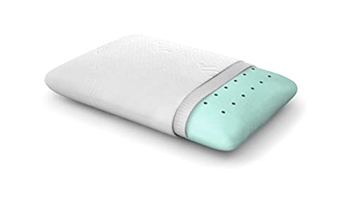 ZenPur Almohada Cervical Viscoelástica Bambú Orgánico – Almohada Hipoalérgenica Firmeza Media - Anti Ácaros con Funda de Bambú y Memory Foam – Relleno Cojín 40 x 60 cm