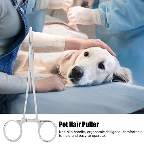 Belissy 16cm hemostático quirúrgico hemostático Pinzas de Acero Inoxidable Curvo Consejo Alicates Pinzas de Pelo del Animal doméstico