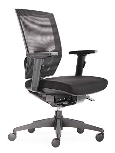 BenS 807-Synchro-3 - Silla de oficina ergonómica de lujo, también adecuada para personas más grandes, muchos asientos profundos, apoyo lumbar, respaldo ajustable, reposabrazos 3D, ARBO/NEN-1335