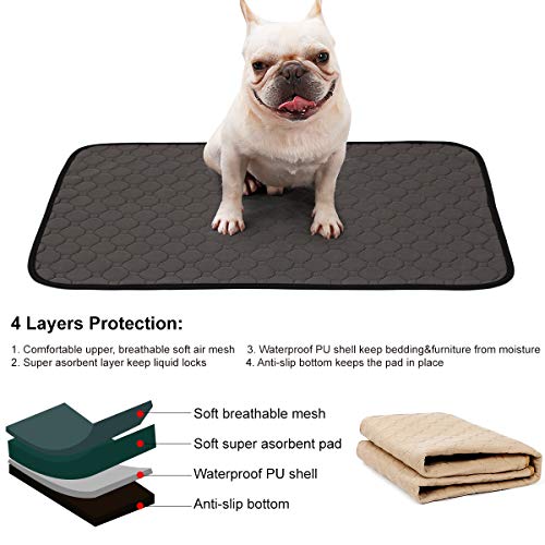 BePetMia Alfombras Lavables y Superabsorbentes, Pee Pad Sanitarias Reutilizables para Jaulas, Cama, Vehiculos, Soluciones para Cachorros y Perros Que Padecen Incontinencia (M: 67x50cm, 3-Packs)