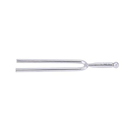 Bnineteenteam Diapasón estándar A 440 Hz Sintonizador de Guitarra para Varios Instrumentos Especialmente para Instrumentos de Cuerda