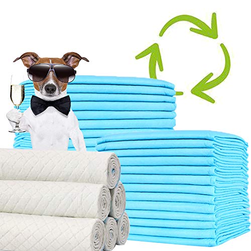 BPS® Empapadores de Entrenamiento para Perros Gatos Perfumes con Feromonas para Atraer los Cachorros y Simplificar el Entrenamiento (20pcs 60 * 60 cm) BPS-2167