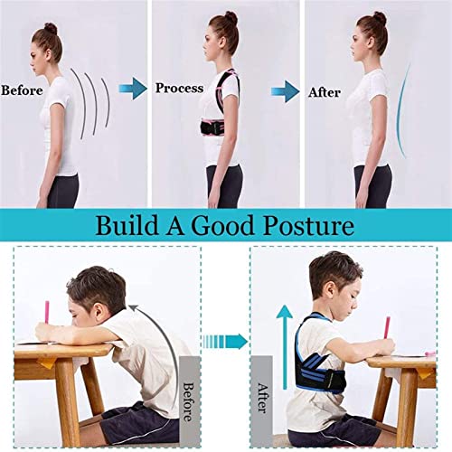 Corrector de postura ajustable para niños Cinturón de soporte para la espalda Kid Boy Girl Corsé ortopédico Columna vertebral Espalda Lumbar Tirantes para el hombro Salud (Color: Blue, Size: S)