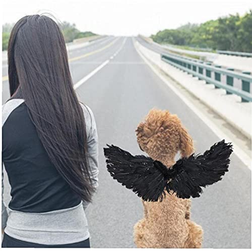 CUCUFA Mascota Disfraz De Halloween Pluma Ángel Alas De Diablo Disfraz De Mascota Decoración De Apoyo para Perro Gato Cosplay Fiesta Navidad Vestido De Navidad Negro L