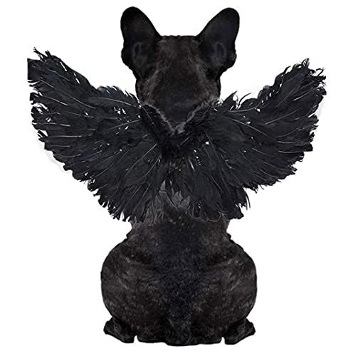 CUCUFA Mascota Disfraz De Halloween Pluma Ángel Alas De Diablo Disfraz De Mascota Decoración De Apoyo para Perro Gato Cosplay Fiesta Navidad Vestido De Navidad Negro L