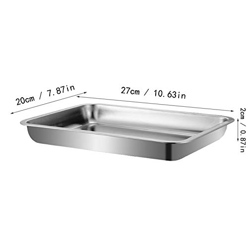 LEZED Bandeja Médica Dental en Acero Inoxidable Bandeja Quirúrgica Bandeja Dental Del Instrumento Bandeja de Instrumentos Médicos Clínica Laboratorio 27 x 20 x 2 cm 2 piezas