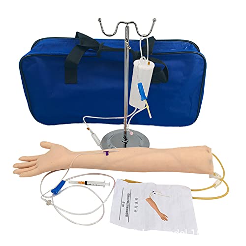 Modelo educativo Inyección de venopunción para adultos para entrenamiento de enfermeras Estudio de enseñanza Inyección intravenosa, infusión, mejora de los procedimientos de extracción de sangre