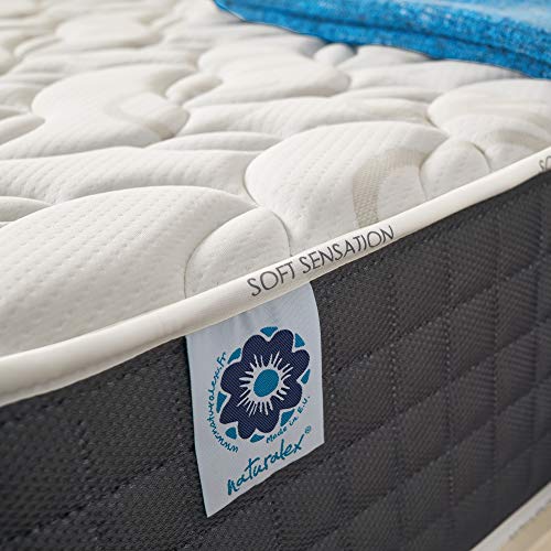Naturalex | Viscosoft | Colchón 150x190 Cm Viscoelástico Gama Premium 30 cm | Tecnología BlueLátex Última Generación | Excelentes Núcleos Poliuretano Ventilados | Lechos Independientes | Ergonómico