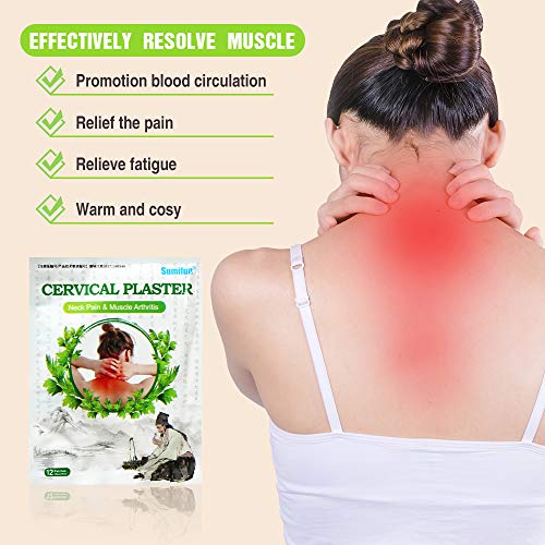 Parches de Calor, Parches Alivio del Dolor, Parche Autocalentador, Almohadillas de Calor Autoadhesivas, Alivio del Dolor de Hombro, Self Heating Warming Meridians Patches, 24 Piezas