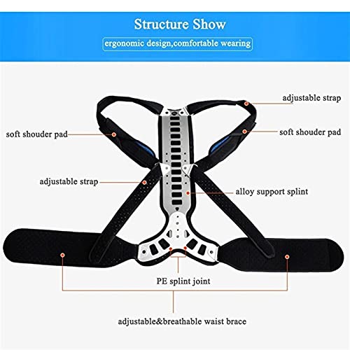 PQQ Corrector de Postura extensión de Metal alisador de Espalda Chaleco Corrector de Postura rígido Ajustable para Alivio de la cifosis y Tratamiento de la Columna jorobada o Lordosis (Color : M)