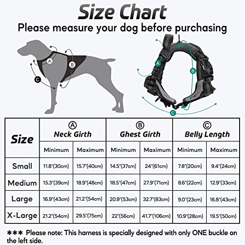 rabbitgoo Arnes Perros Arnés Chaleco Antitirones para Perros Grandes y Medianos con Correas Elásticas para Absorber Golpes Ajustable para Caminar con Asa de Fácil Control Reflectante, Negro XL
