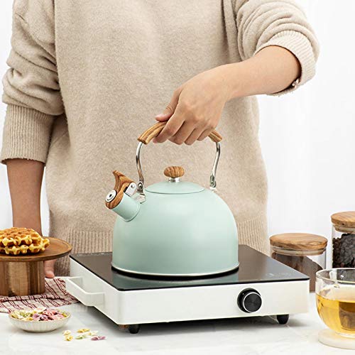 2,5 L Hervidor De Acero Inoxidable para Estufa De Gas, Hervidor De Agua En Estufa De Gas con Mango Ergonómico De Madera, Tetera De Acero Inoxidable, Tetera De Acero Inoxidable