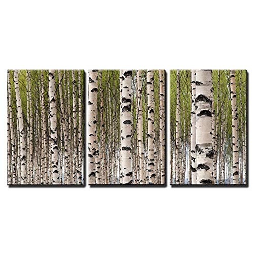Árboles de abedul con decoración de pared verde hojas de arte de cáñamo. Lienzo impreso en la pared de alta definición. Lienzo de pintura al óleo de arte de pared
