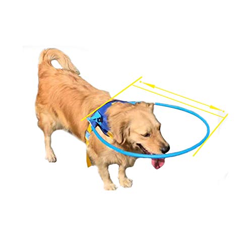 Arnés de halo, seguro para mascotas, para perros ciegos, anillo protector de plástico para perros con ojos enfermos, evita colisiones, anillo de chaleco protector suave
